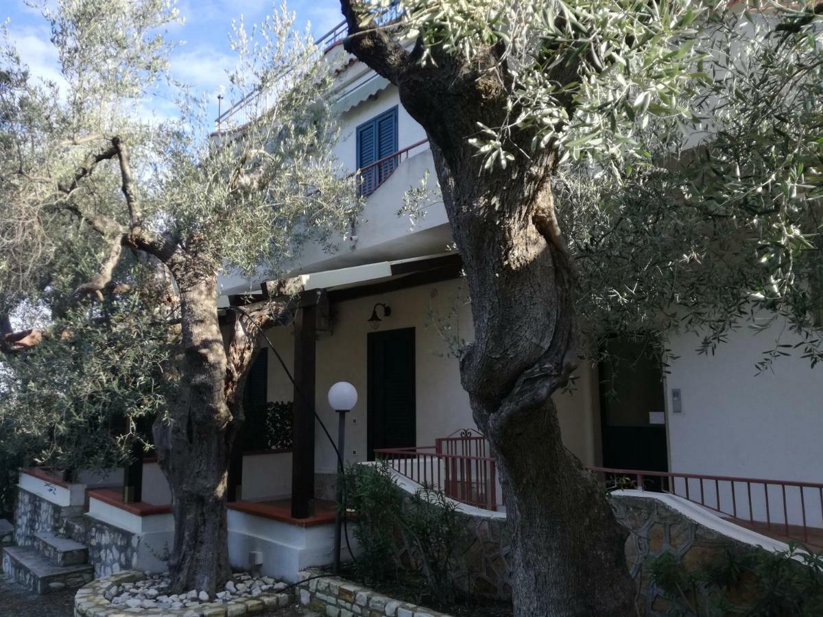 Villa Anna Residence Rodi 로디가르가니코 외부 사진